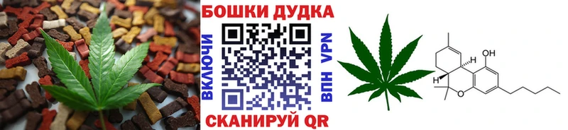 Cannafood конопля  где можно купить   Солнечногорск 