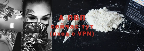 винт Аркадак